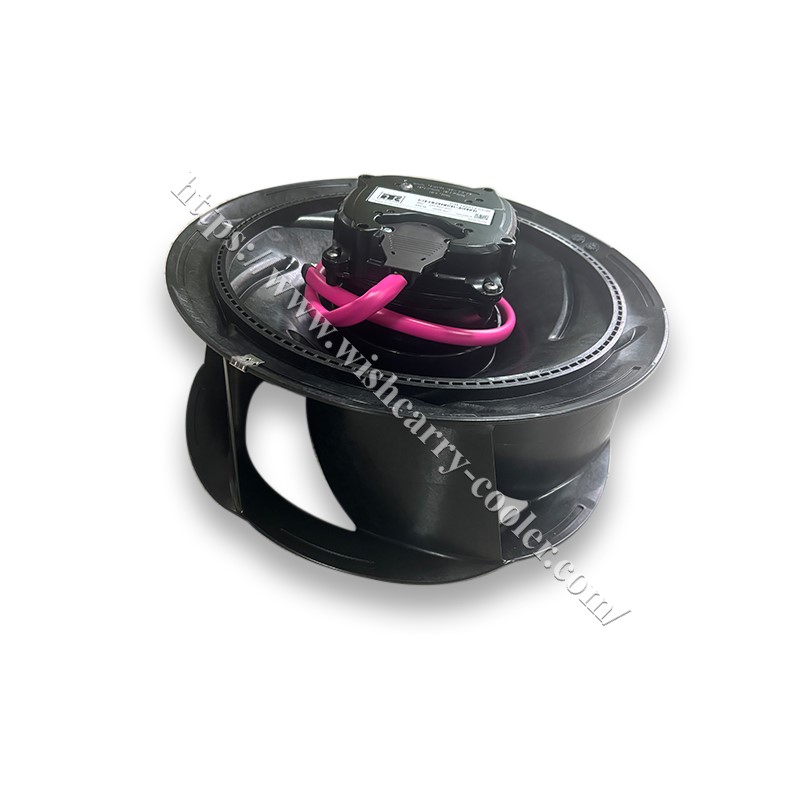 782013 purple 782012 black02