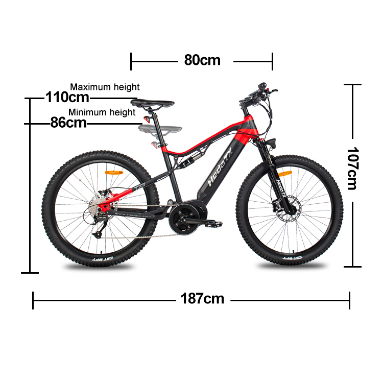 Quality Low Carbon Environmental Protection Electric Bicycle