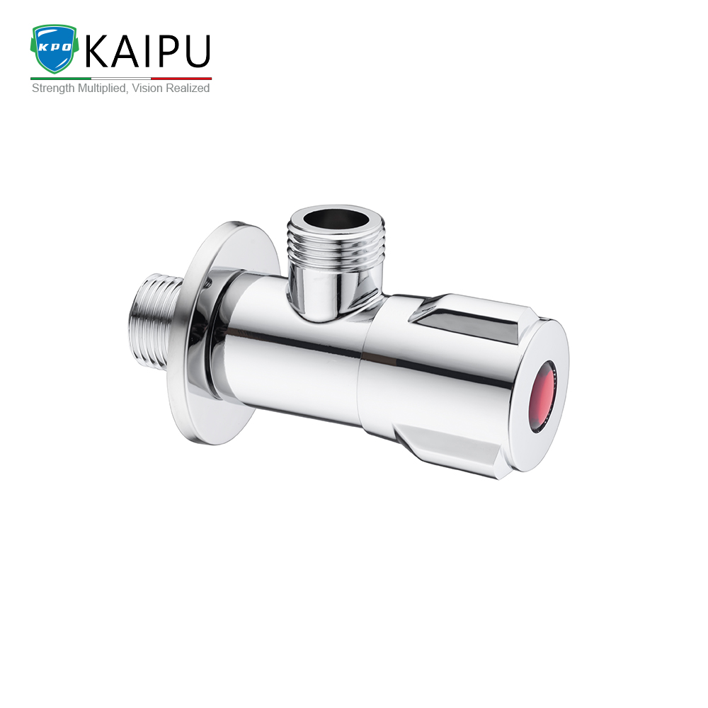 ANGLE VALVE (6)