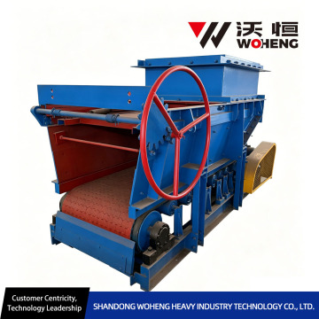 DG Series Belt Coal Feeder