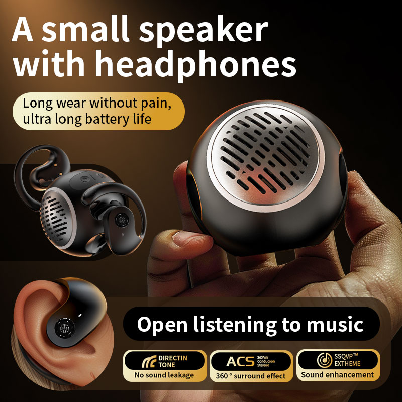 Earphone and speaker 3