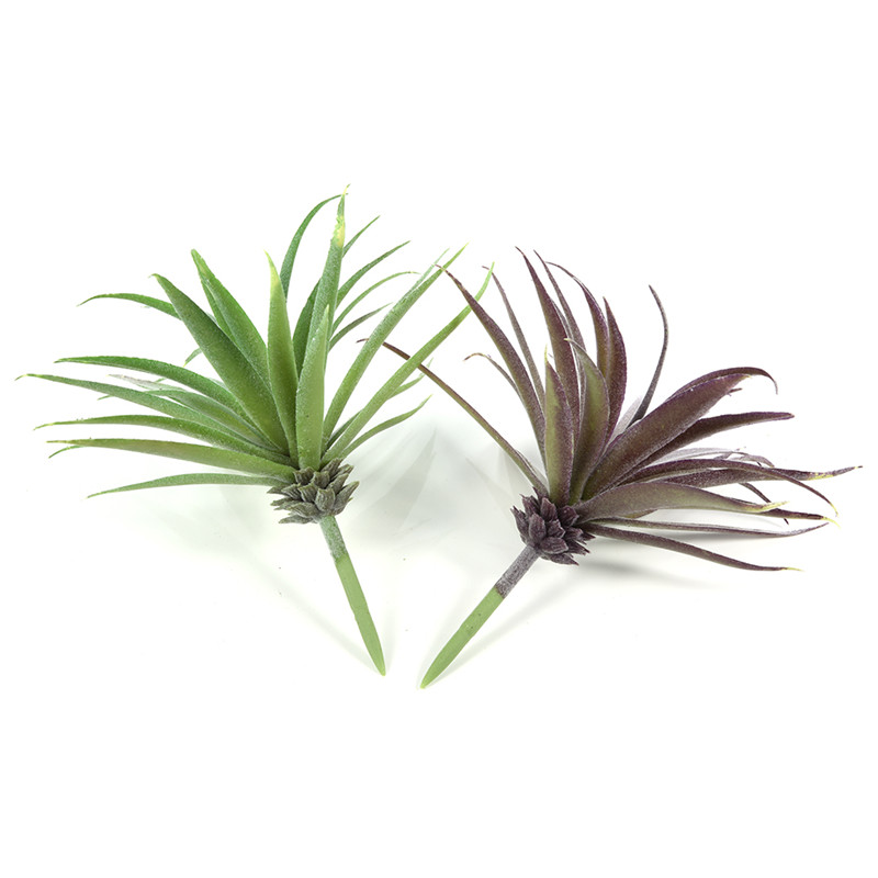 Artificial Plants Green Purple Succulents Simulation Plants Home Decoration Flower Spring Grass Plastic Plants