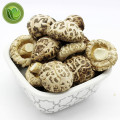 Shitake Mushrooms, Nature Grade A Dried Mushrooms