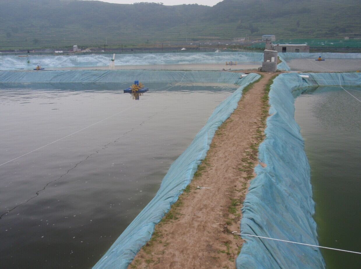 blue fish pond liner