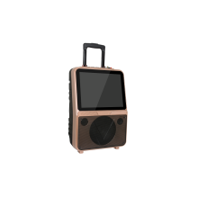impex trolley speaker 100w