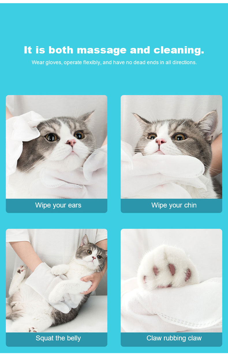 Cleaning Pets Jpg