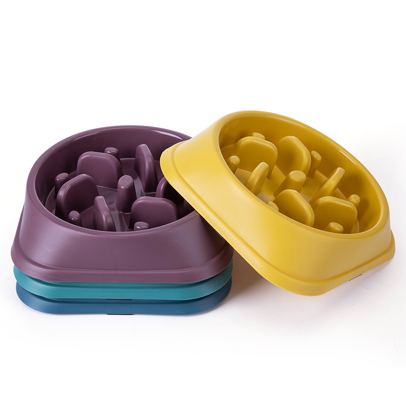 Dog Bowl Plastic