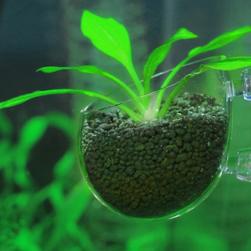Aquarium decoration fish tank Mini Crystal Glass Pot Polka Water potted planting cylinder cup aquarium accessories supplies