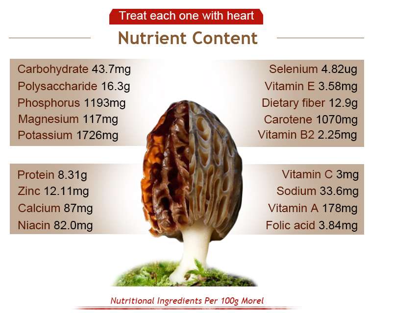 Natural wild morel, Morchella Contains a large amount Vitamin b1 Vitamin b2 Vitamin b12 Protect the liver fight cancer