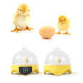 Mini 7 Egg Incubator Poultry Incubator Brooder Digital Temperature Hatchery Egg Incubator Hatcher Chicken Duck Bird Pigeon