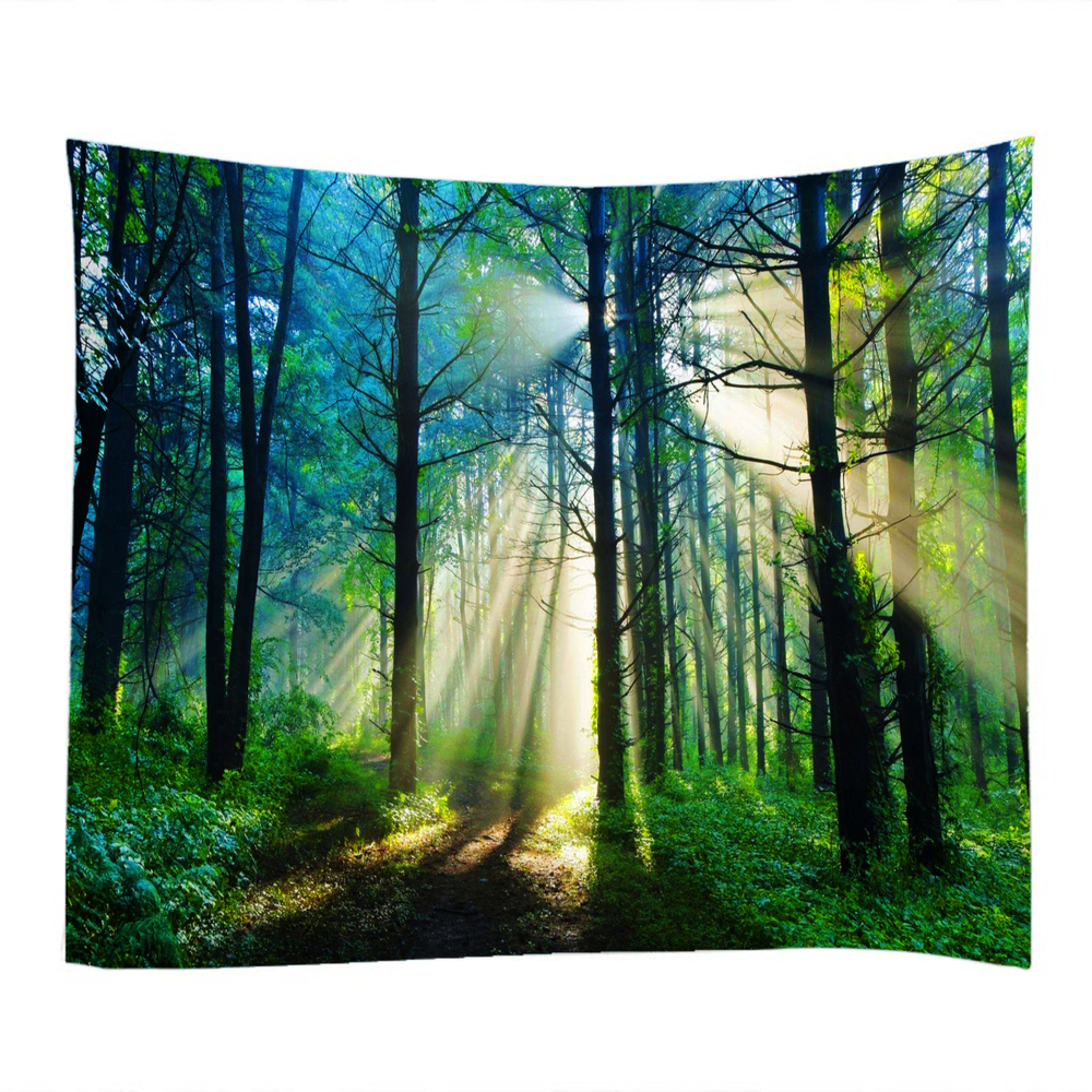 Background cloth  wall decoration hanging cloth12 (5)