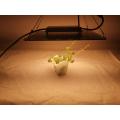 High power ppfd indoor hydroponic grow lights