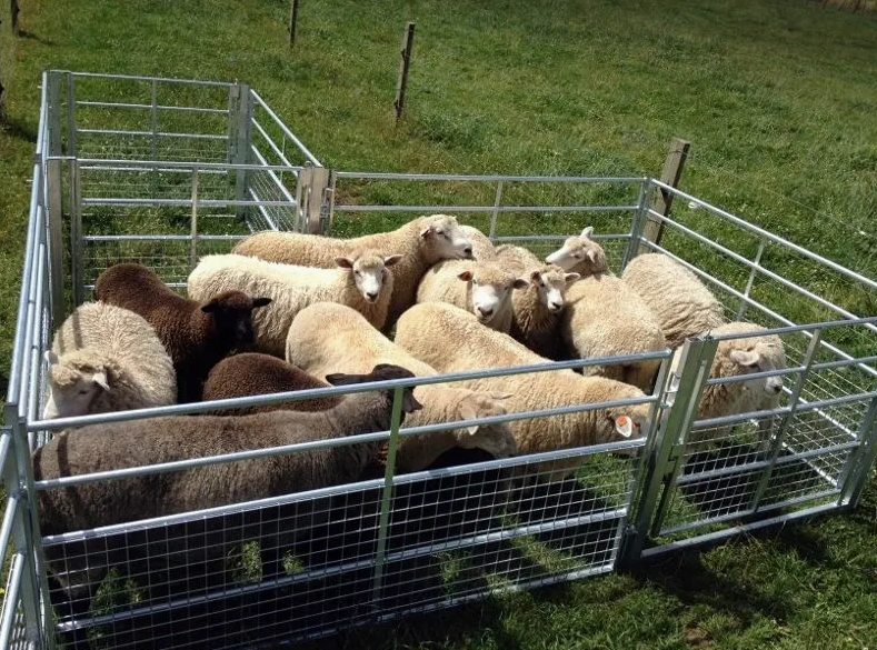 farm fence10