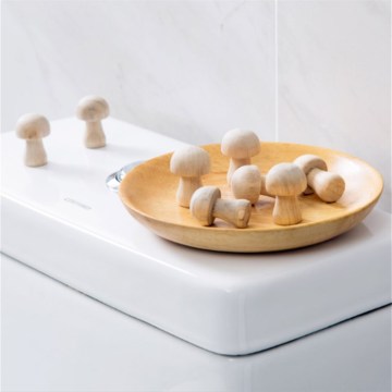 10pcs/pack Mushroom Shaped Wardrobe Camphor Wood Mothballs Mosquito Repellent Clothing Mothballs