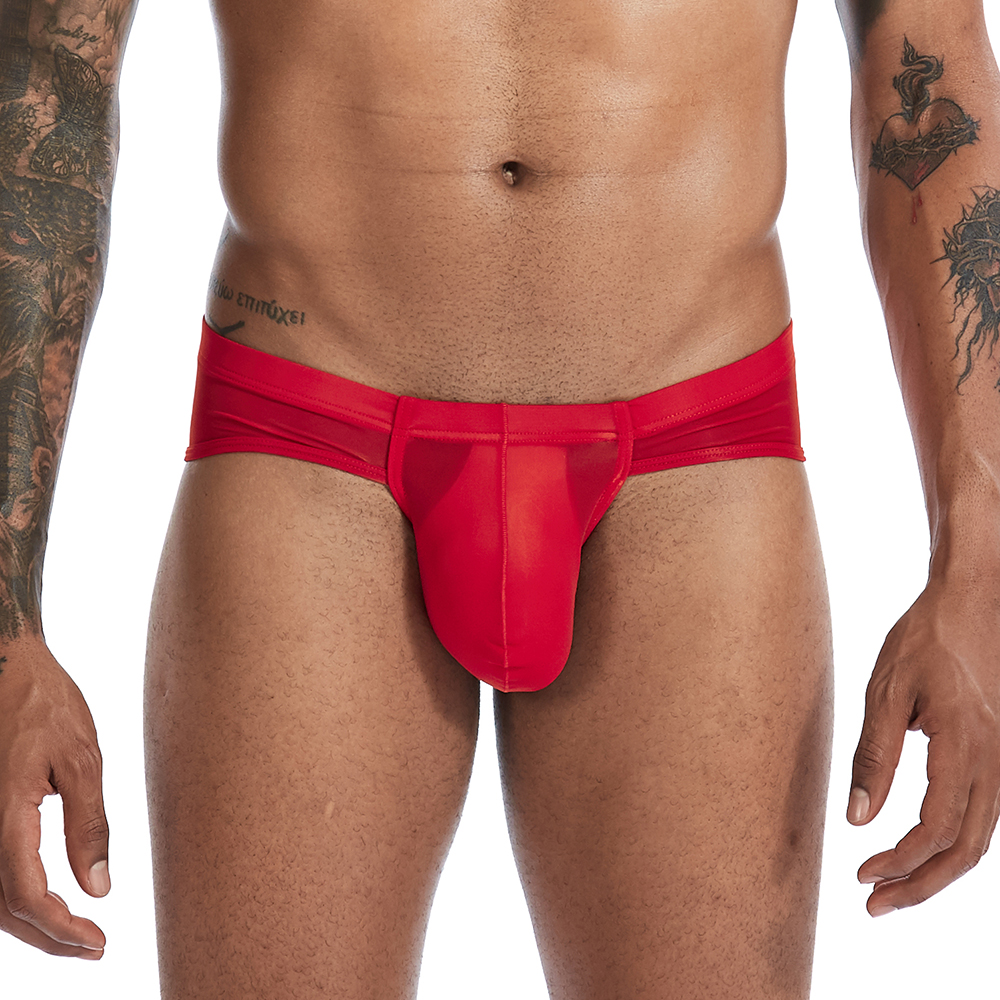 Sexy Men Briefs Underwear Men's Big Pouch Briefs Underpants male Panties Polyester Male Lingeries