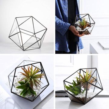 2021 New Glass Terrarium Storage Box Jewelry Holder,Glass Geometric Terrarium Tabletop Succulent Plant Box Planter Holder