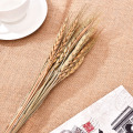 20Pcs/lot Real Wheat Ear Flower Natural Dried Flowers For Wedding Party Decoration DIY Craft Scrapbook Home Decor Wheat Bouquet