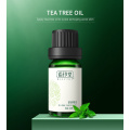 10ml Hyaluronic Acid Pure tea tree Face Serum Whitening Shrink Pore Essence Anti Aging face Essential oil Face Cream Skin Care