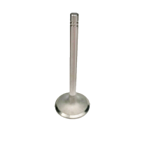 Intake and exhaust valves FL956F