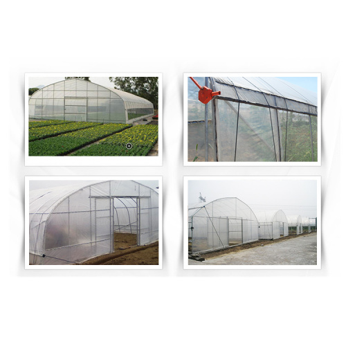 Classic Commercial Plastic Film Greenhouse for sale Manufacturers and Classic Commercial Plastic Film Greenhouse for sale Suppliers