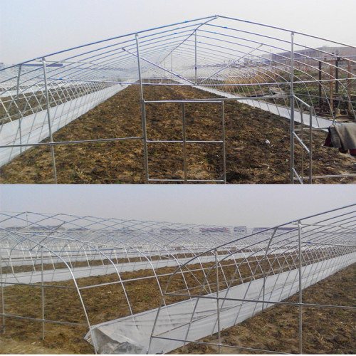 Single Span Plastic Film Greenhouse For Plant Manufacturers and Single Span Plastic Film Greenhouse For Plant Suppliers