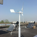 hot selling 600w MAX POWER 800W horizontal wind turbine generator 12v 24v AC/DC out put alternative energy generator