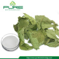 Competitive Price Stevia extract/ Steviosides 80%, 90%