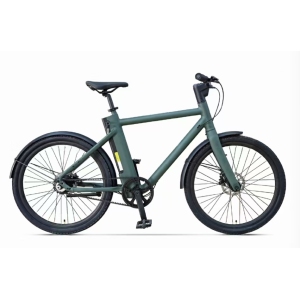 Electric Bicycle H1