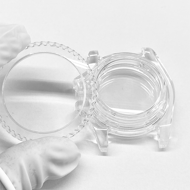 sapphire watch bezel