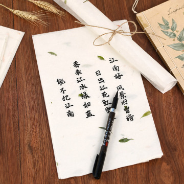 10pcs/set Chinese Xuan Paper Painting Paper Calligraphy Painting Paper Chinese Style Vintage Letters Stationery