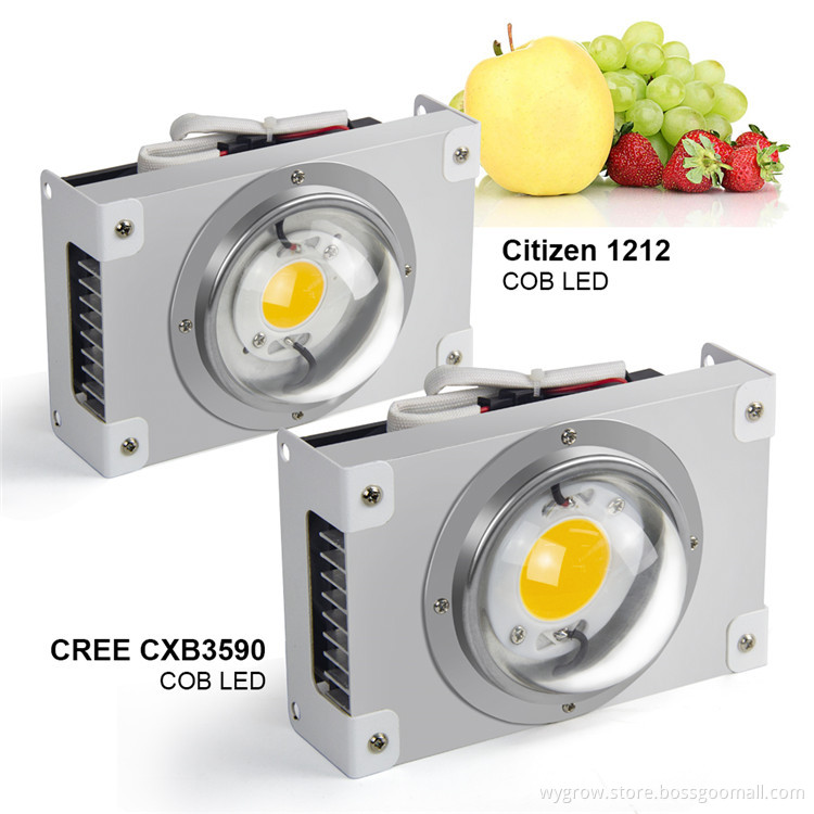 CREE CXB3590 COB Grow Light 450W