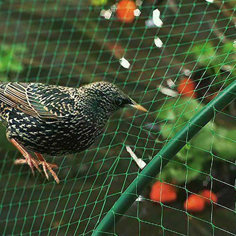 Anti Bird Netting Insect Garden Fence Crops Protective Mesh Anti Bird Cat Dog Chicken Net Crop Seed Flower Plant Support Care