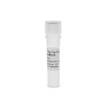 Flag Tag Mouse Monoclonal