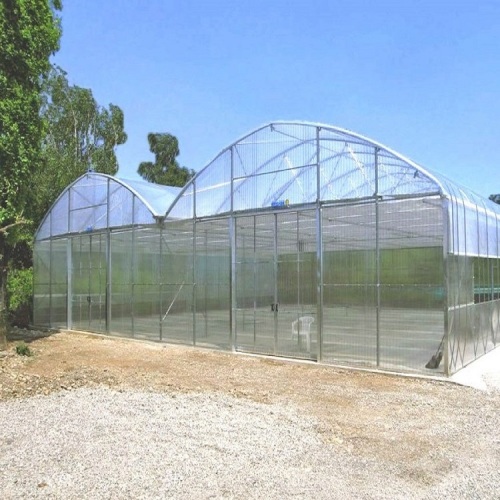 Reinforced Commercial Plastic Greenhouse with Equipment Manufacturers and Reinforced Commercial Plastic Greenhouse with Equipment Suppliers