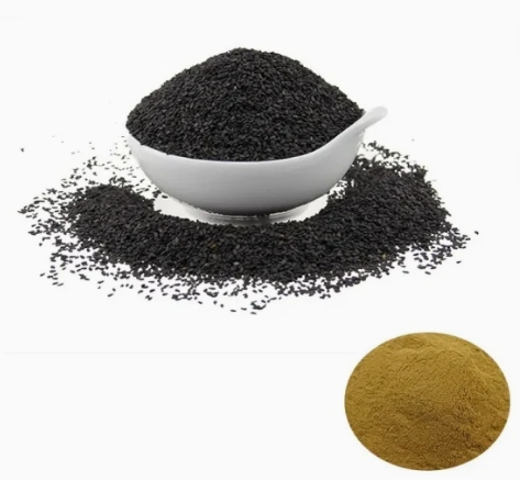 getting sesamin from sesame