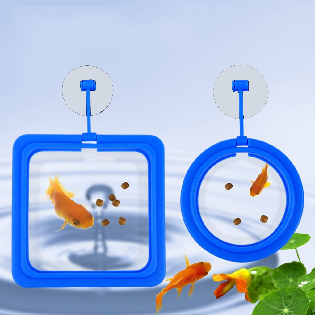 Fish Food Ring Aquarium Fish Tank Small Type Tropical Suction Cup Fish Feeder Feeding Ring Round Square Aquarium Accessories