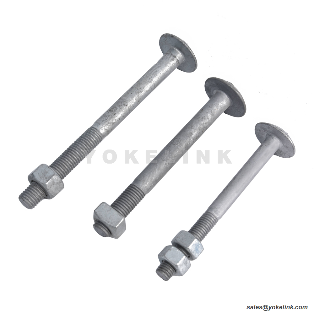 Tower Step Bolts (6)