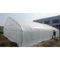 Tunnel Plastic Film Greenhouse with good