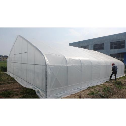 Tunnel Plastic Film Greenhouse with good Manufacturers and Tunnel Plastic Film Greenhouse with good Suppliers