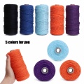 5 Color 100M 109yards Colorful DIY Long Macrame Cotton Twisted Cord Rope 3mm Hand Crafts String Braided Wire