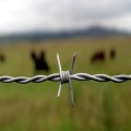 Black Twisted Barbed Iron Wire Mesh Fence