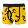 5pcs/set Kids Boys Underwear Cartoon Cotton Children's Shorts Panties Stripes Teenager