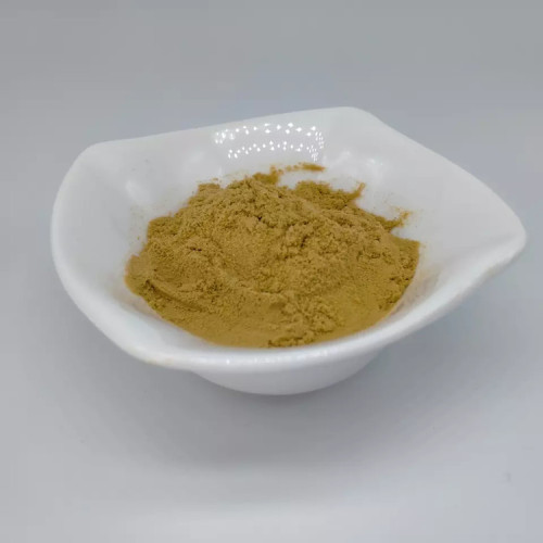 Male Sexual Oyster Meat Extract Powder for Sale, Offer Male Sexual Oyster Meat Extract Powder