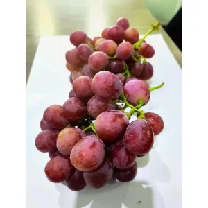 Delicious Fresh Red Grapes in Perfect Condition