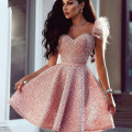 A-Line Sweetheart Pink Beaded Short Prom Dresses with Feathers Fashion Women Cocktail Dress 2020 Birthday Formal Party Gowns