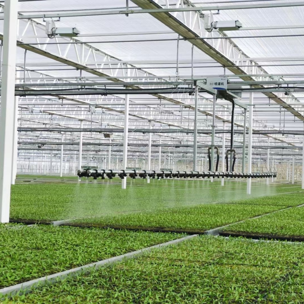 Arched PC Greenhouse