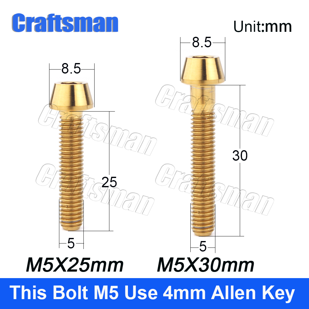 Titanium Ti M5 x 10 12 16 18 20 25 30 35 40 45 50 mm Allen Key Taper Head Bolt Screw for Bicycle Stem Seatpost Bicycle Parts GR5