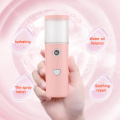 30ml Mini Nano Facial Sprayer USB Nebulizer Face Steamer Humidifier Beauty Skin Care Tools Home Liquid Air Fresheners Dropship