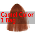 Camel Color 1 Bag