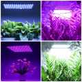 225 LED Growth Lamp For Plants Led Grow Light Full Spectrum Phyto Lamp Fitolampy Indoor Herbs Light For Greenhouse Led Grow
